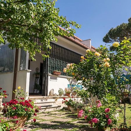 Casa Silvestro Villa Lido dei Pini Exterior foto